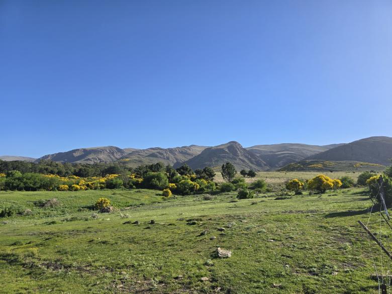 Sierras
